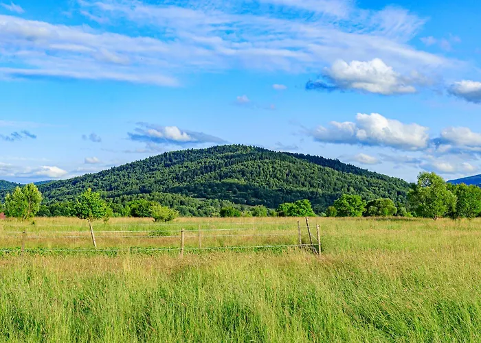 U Anitki I Nikosia *